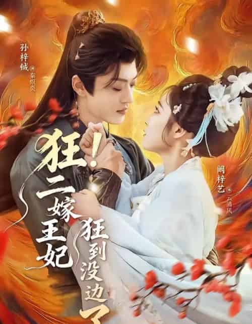 狂！二嫁王妃狂到没边了（72集全）孙梓铖＆阚梓艺-搜外项目网
