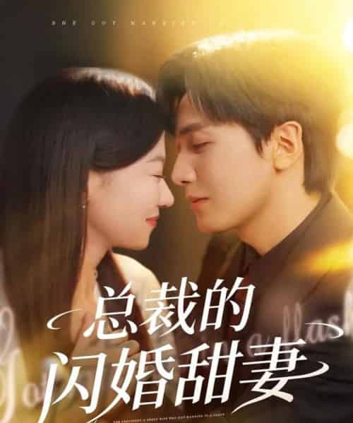 总裁的闪婚甜妻（61集全）胡家豪＆何田田-搜外项目网