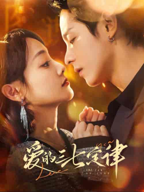 爱的三七定律＆爱意延迟（76集全）段平＆顾佳菡-搜外项目网