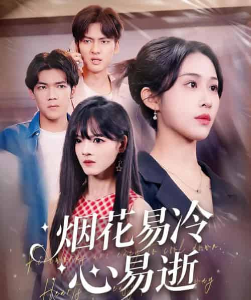 烟花易冷心易逝（73集）刘国文＆武鸿蕊-搜外项目网
