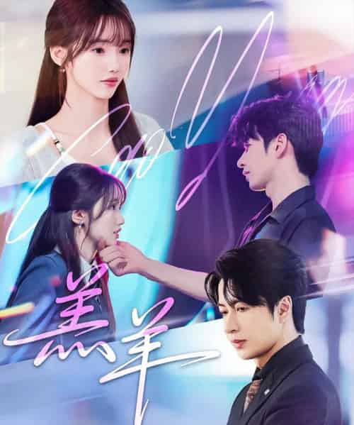 羔羊（61集）孟欢＆范晓东-搜外项目网