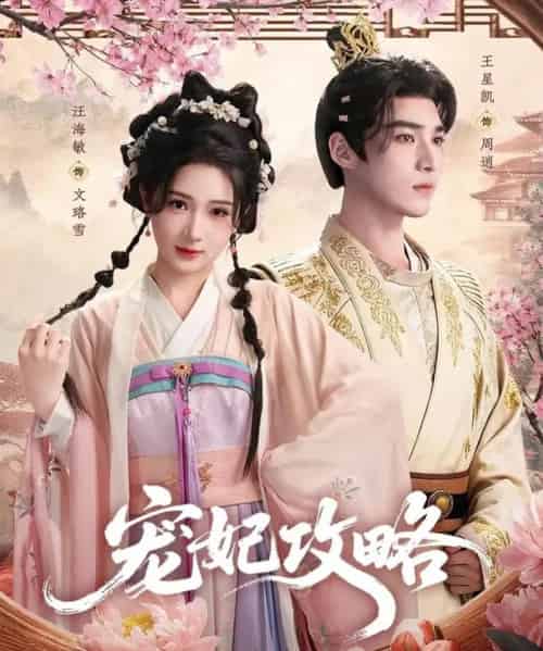 宠妃攻略(60集全)王星凯&汪海敏-搜外项目网