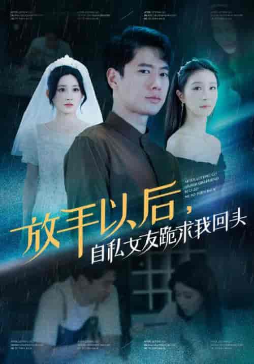 放手以后，自私女友跪求我回头（59集全）陈凡＆王琳-搜外项目网