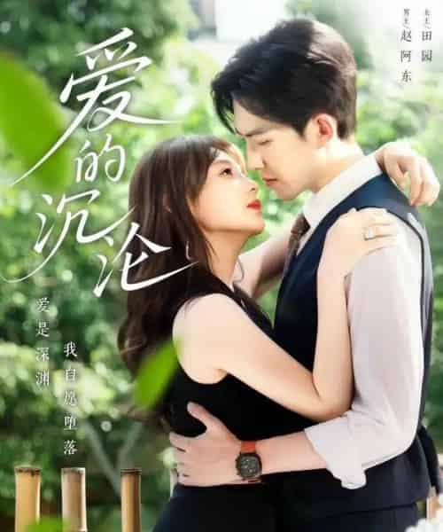 爱的沉沦（70集）田园＆赵阿东-搜外项目网