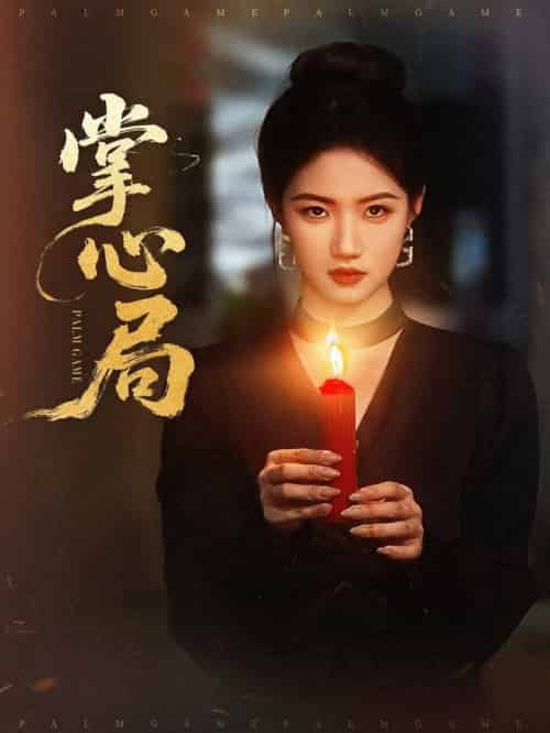 掌心局（89集全）喻浩洋＆高洁慧-搜外项目网