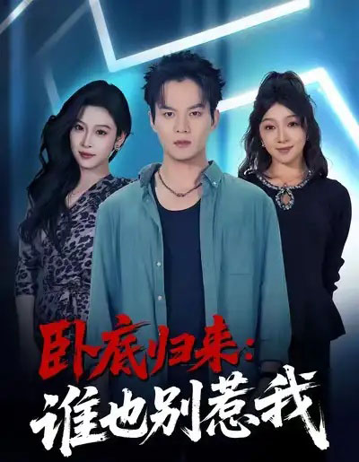 卧底归来谁也别惹我(79集全)汤淇钧&勉瑞云-搜外项目网