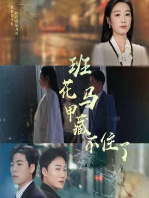 班花马甲藏不住了（34集）雷子＆赵晴-搜外项目网