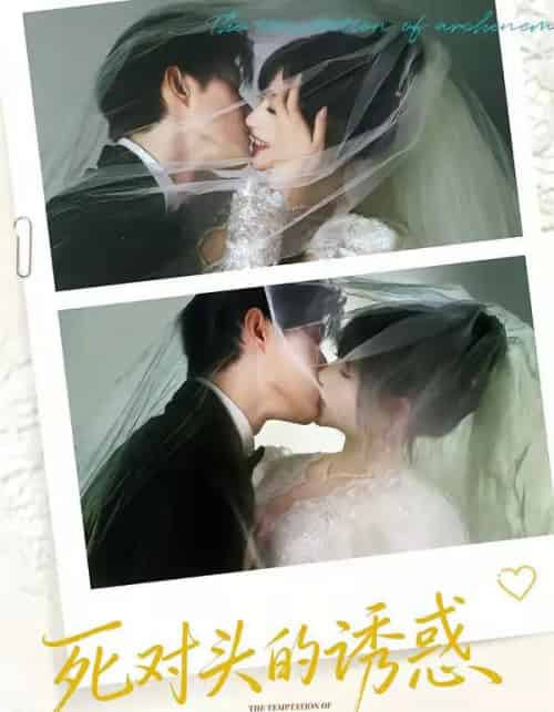 死对头的诱惑（77集全）谢熠柯＆刘浔-搜外项目网