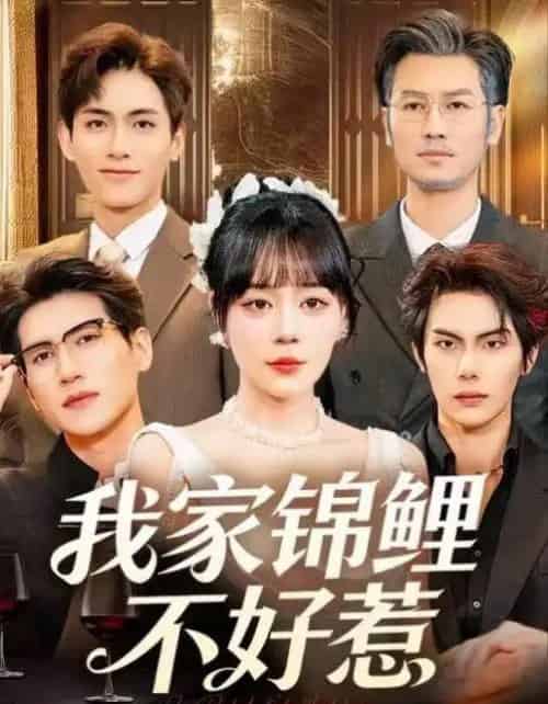 我家锦鲤不好惹（75集全）孙蔚琳＆马义炎-搜外项目网