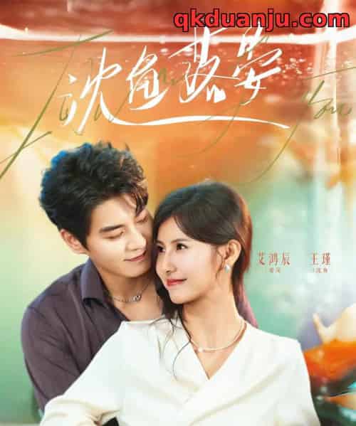 沈鱼落晏（77集全）艾泓辰＆王槿-搜外项目网