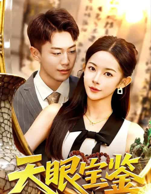 天眼宝鉴（108集全）杨林涛＆赵书苑-搜外项目网