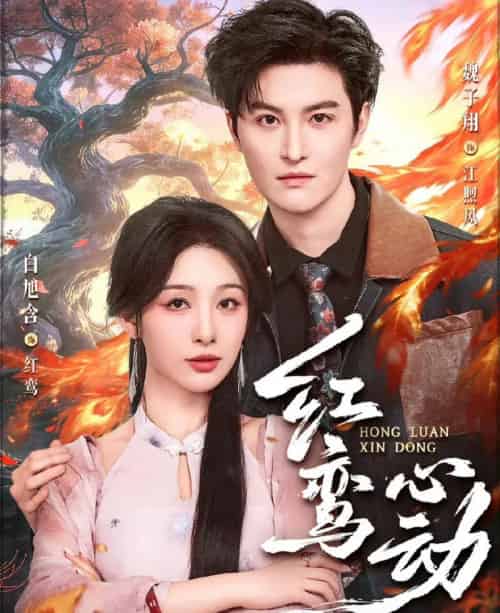 红鸾心动（60集全）魏子翔＆白旭含-搜外项目网