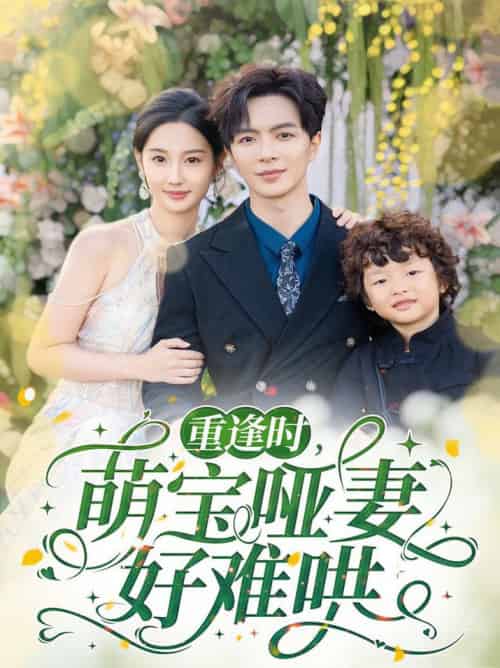 重逢时萌宝哑妻好难哄(60集全)温宇&魏凡舒-搜外项目网