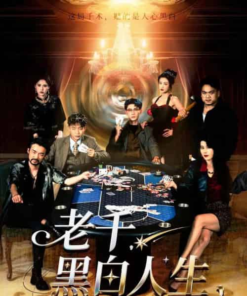 老千黑白人生＆老千，黑白人生（77集全）宣以豪＆杨子愉-搜外项目网