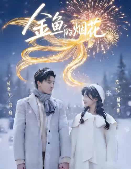 金鱼的烟花（80集全）杜亚飞＆范祺-搜外项目网