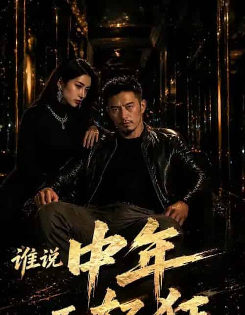 谁说中年不轻狂（71集全）-搜外项目网