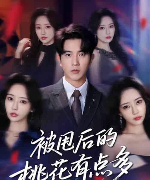 被甩后的桃花有点多（64集）李致逸＆苏凝-搜外项目网
