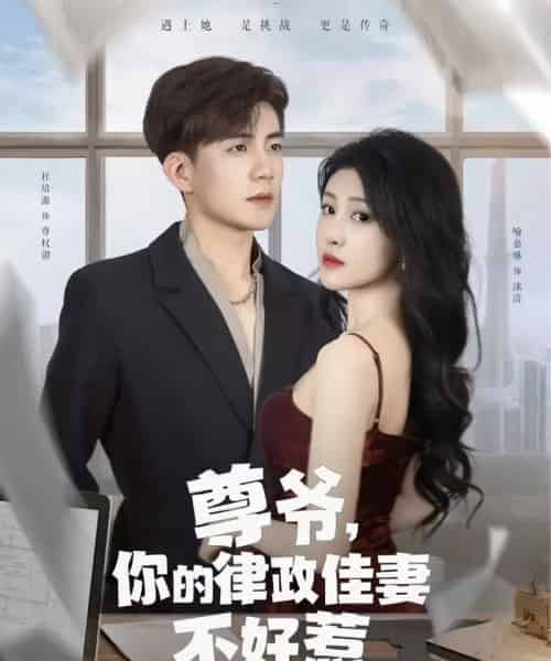 尊爷,你的律政佳妻不好惹(81集)杜培源&喻嘉琳-搜外项目网