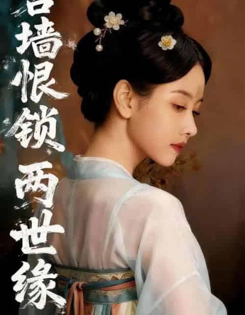 宫墙恨锁两世缘（47集全）Ai-搜外项目网