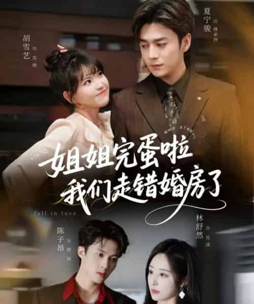 姐姐完蛋啦我们走错婚房了（97集全）夏宁骏＆胡雪艺-搜外项目网