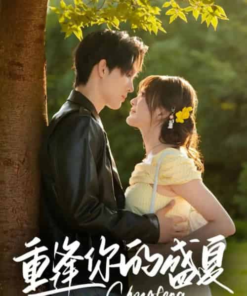 重逢你的盛夏(66集)梁思伟&伍怡桥-搜外项目网