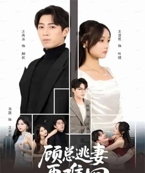 顾总逃妻再难回（60集全）汪禹丞＆王楚贤＆易慧-搜外项目网