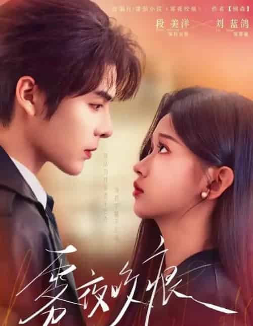 雾夜咬痕（74集全）段美洋＆刘蓝鸽-搜外项目网