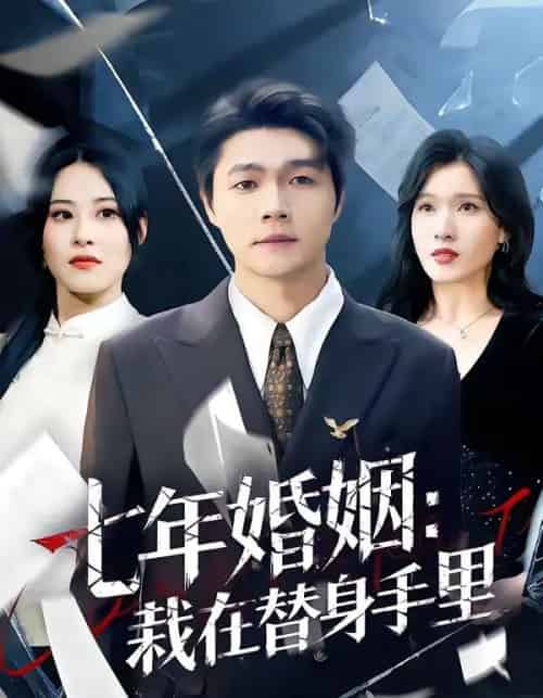 七年婚姻：栽在替身手里（80集全）叶子龙＆张清妍-搜外项目网