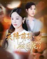 天降萌孙被团宠了（60集全）文力＆庄汐玥-搜外项目网