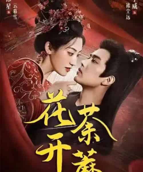 花开荼蘼（88集全）王宇威＆王冰星-搜外项目网