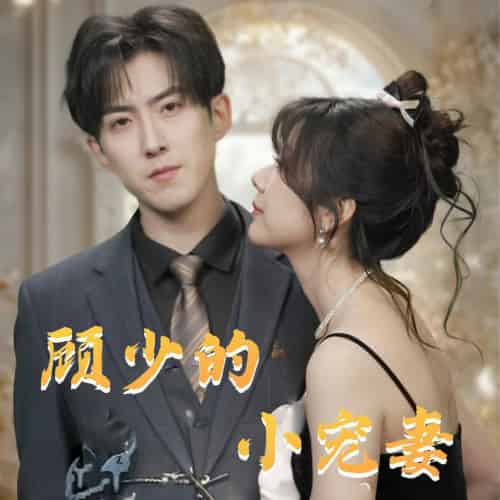 顾少的小宠妻（90集全）赵阿东＆钱思怡-搜外项目网