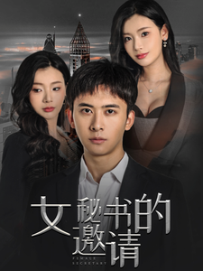 女秘书的邀请（30集全）王星辰-搜外项目网