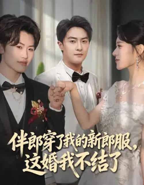 伴郎穿了我的新郎服，这婚我不结了（74集全）杨文昊＆刘爽-搜外项目网