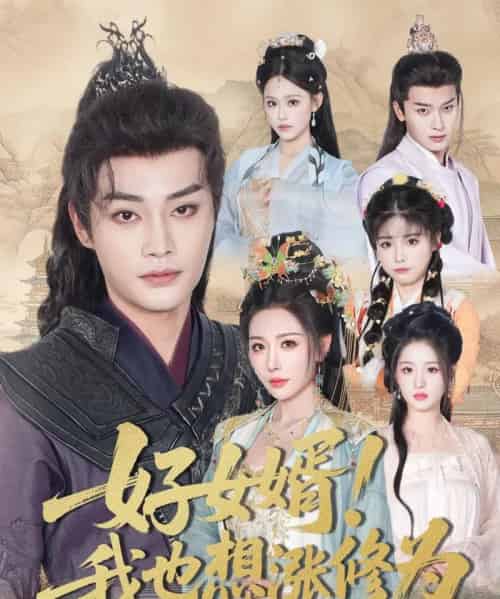 好女婿我也想涨修为＆公主穿龙袍臣真的受不了啦（92集）柳甯＆隋安蓉-搜外项目网