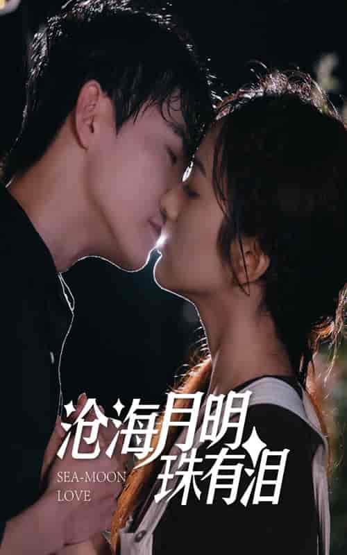 沧海月明珠有泪（75集）王子怡-搜外项目网