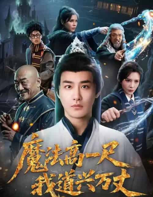 魔法高一尺我道兴万丈(70集全)李季&王希如-搜外项目网