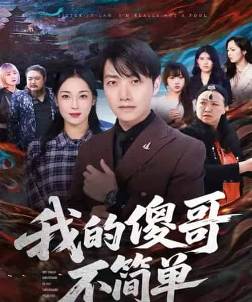 我的傻哥不简单(81集全)任志鹏&王小野-搜外项目网