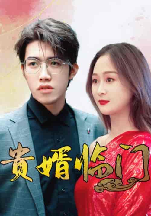 贵婿临门（104集全）张会＆林初夏-搜外项目网