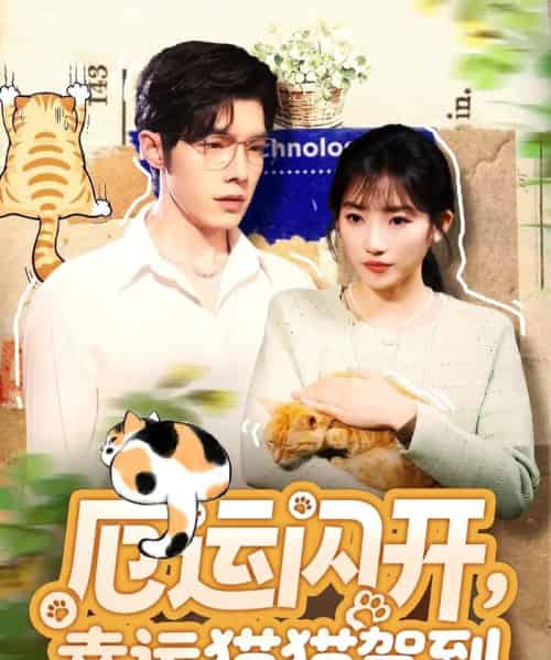 厄运闪开,幸运猫猫驾到(62集全)高铭屿&孙丛珊-搜外项目网
