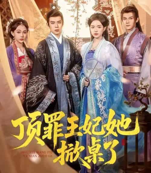 顶罪王妃她掀桌了（90集全）陈墁柯＆刘六六-搜外项目网