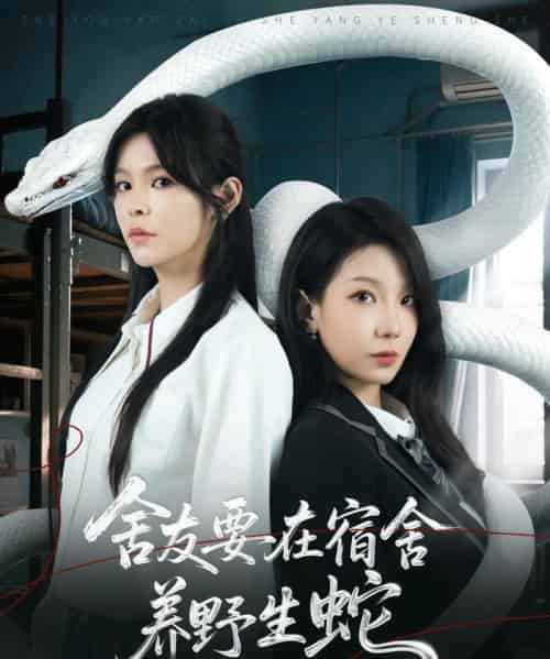 舍友要在宿舍养野生蛇（60集）朱晓彤＆邓诗韵-搜外项目网