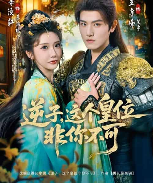 逆子,这皇位非你不可(91集全)王宇峰&李汶轩-搜外项目网