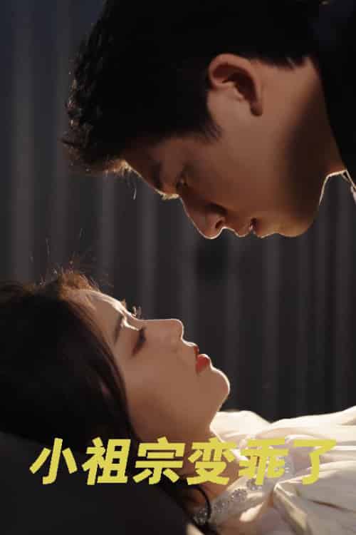 小祖宗变乖了（64集全）钟远哲＆李雪丹-搜外项目网