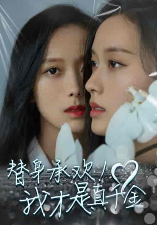 替身承欢！我才是真千金（40集全）陆轻舟＆苏锦-搜外项目网
