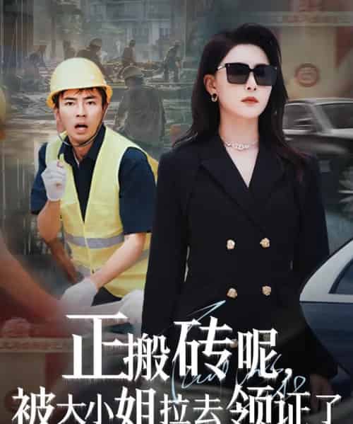 正搬砖呢，被大小姐拉去领证了（65集）许子吟＆于宙童-搜外项目网