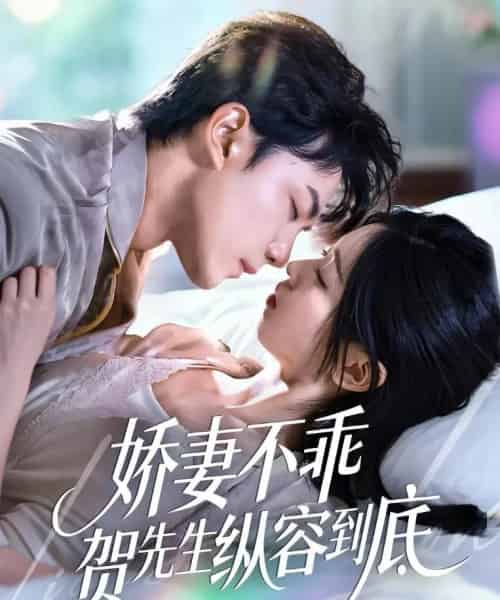 娇妻不乖贺先生纵容到底（50集全）张耀玮＆刘玉姣-搜外项目网