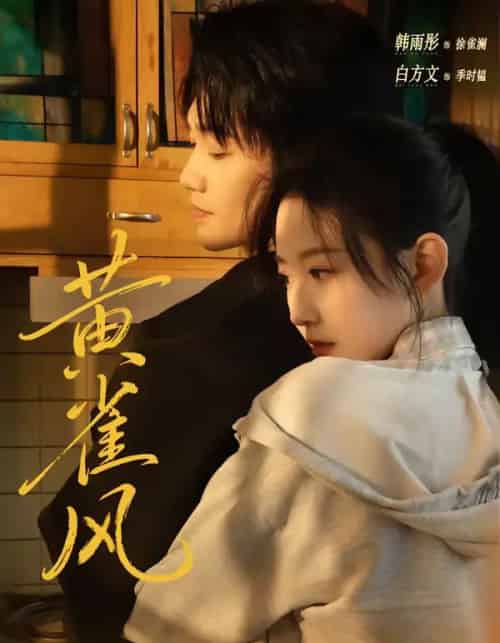 黄雀风（80集全）白方文＆韩雨彤-搜外项目网