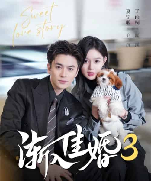 渐入佳婚3（60集全）夏宁骏＆于雨桐-搜外项目网