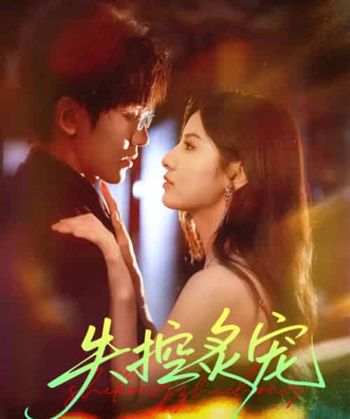 失控炙宠（72集全）胡家豪＆王槿-搜外项目网