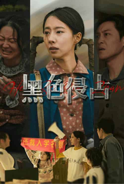 黑色侵占（35集全）苏嘉欣-搜外项目网